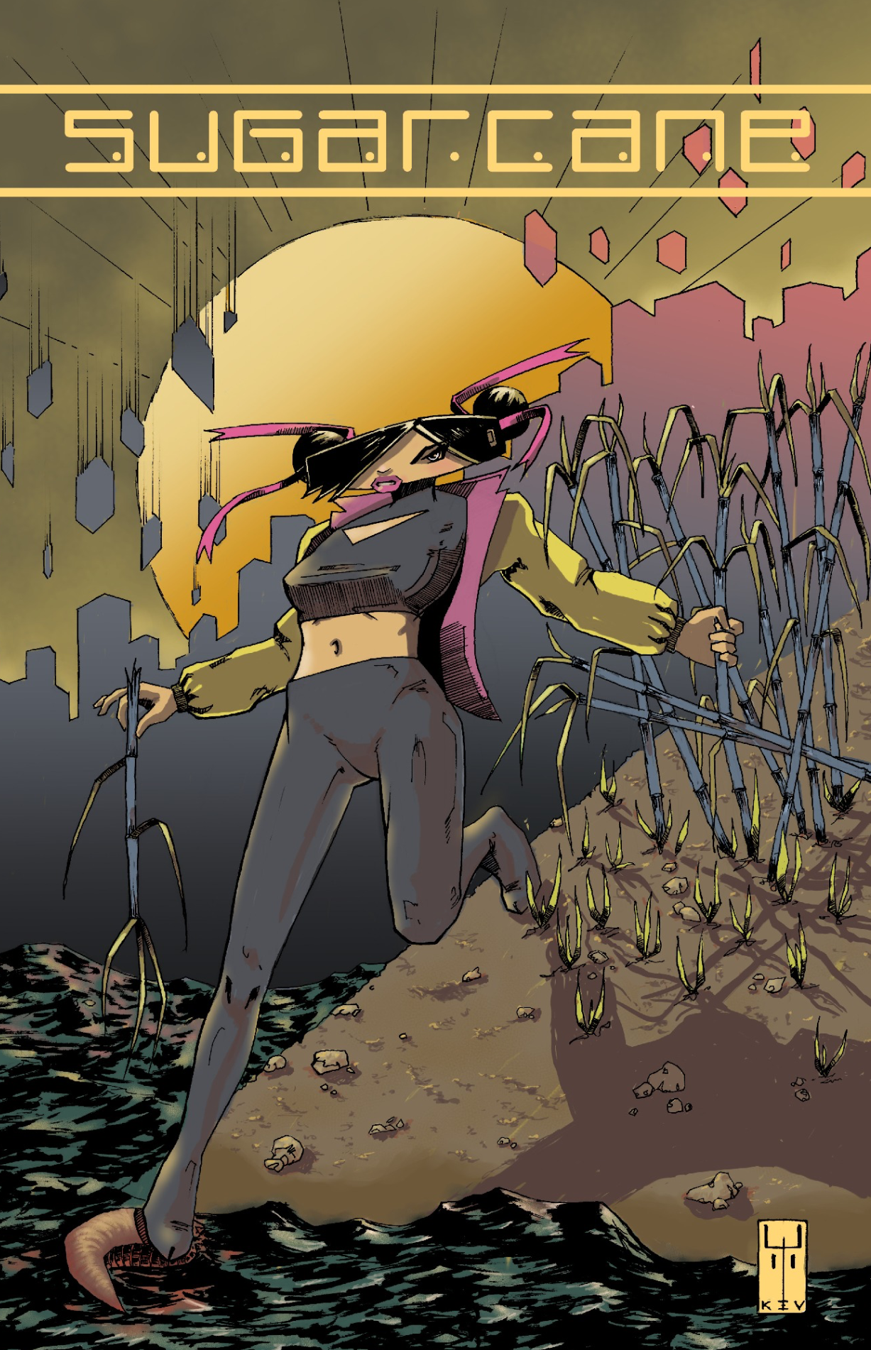 /media/blog/library/sugarcane-0---cvr.png
