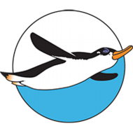 Soaring Penguin Press