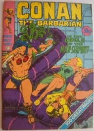 Conan the Barbarian Pocket Book 1980 - 1981 #3