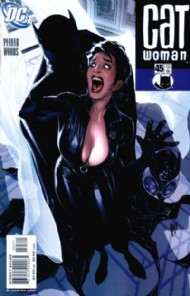 Catwoman (3rd Series) 2002 - 2010 #45