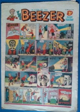 The Beezer #9