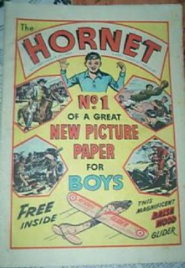 The Hornet #1