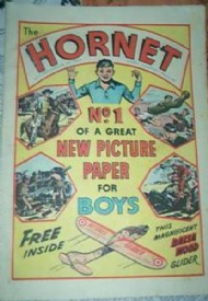 The Hornet 1963 - 1975 #1