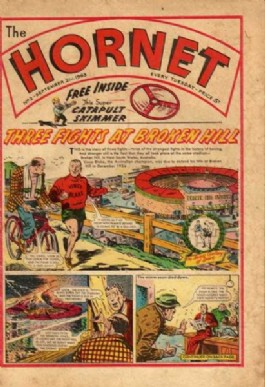 The Hornet #2
