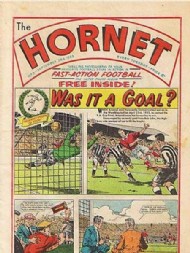 The Hornet 1963 - 1975 #3