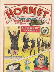 The Hornet 1963 - 1975 #4