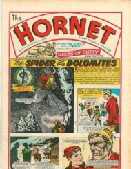 The Hornet 1963 - 1975 #8