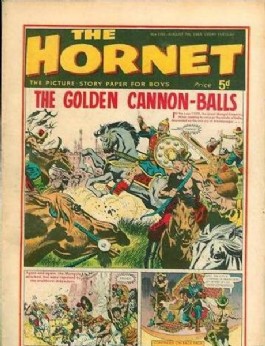 The Hornet #100