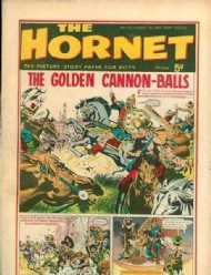 The Hornet 1963 - 1975 #100