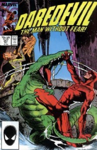 Daredevil (1st Series) 1964 - 2011 #247