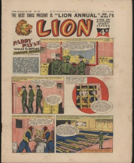 Lion #357