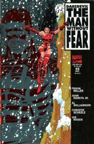 Daredevil: the Man Without Fear 1993 - 1994 #2