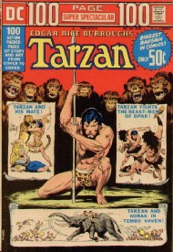 DC 100-Page Super Spectacular 1971 - 1973 #19