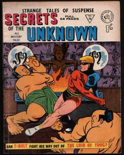 Secrets of the Unknown #79