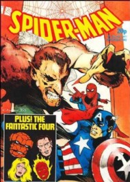 Spider-Man Comics Weekly 1973 - 1985 #530