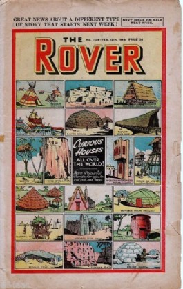 The Rover #1234