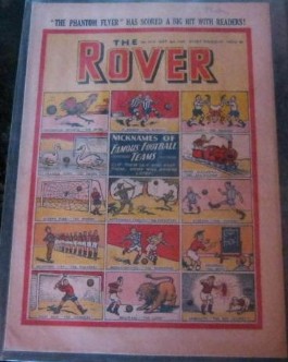 The Rover #1314