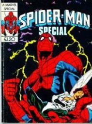 Spider-Man Winter Special  #14