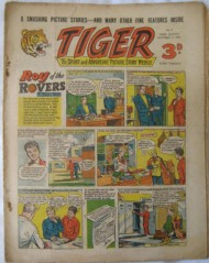 Tiger 1954 - 1985 #5