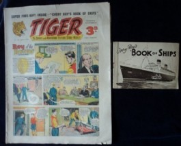 Tiger #30