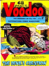 Voodoo 2011 - 2012 #2