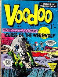 Voodoo 2011 - 2012 #4
