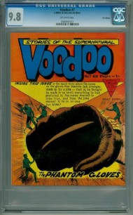 Voodoo 2011 - 2012 #7