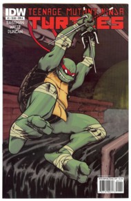Teenage Mutant Ninja Turtles (IDW) 2011- #1