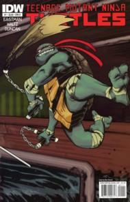 Teenage Mutant Ninja Turtles (IDW) 2011- #1