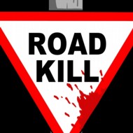 Roadkill 