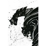 Absolute Dark Knight 2006