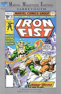 Iron Fist (1st Series) #14