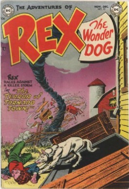 The Adventures of Rex the Wonder Dog #12
