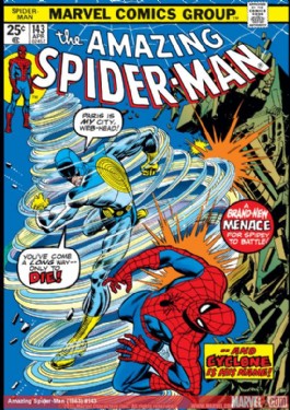 The Amazing Spider-Man (1st Series) #143