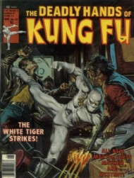 The Deadly Hands of Kung Fu 1974 - 1977 #27