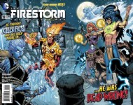 The Fury of Firestorm: the Nuclear Man 2011 - 2013 #19