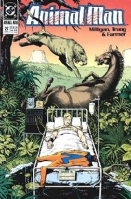 Animal Man 1988 - 1995 #27