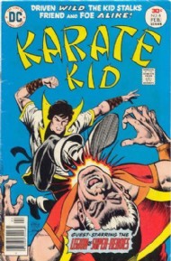 Karate Kid 1976 - 1978 #6