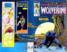 Marvel Comics Presents #8