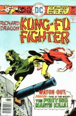 Richard Dragon Kung Fu Fighter #9