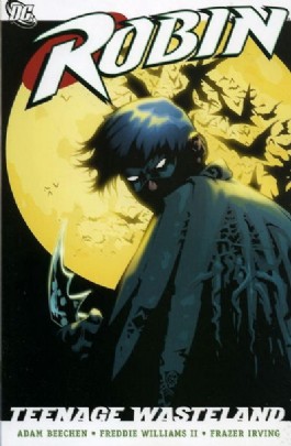 Robin: Teenage Wasteland