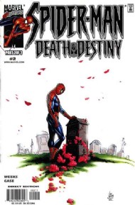 Spider-Man: Death and Destiny 2000 #2