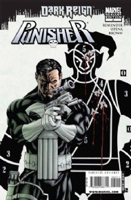 The Punisher (8th Series) 2009 - 2010 #2