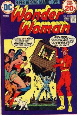 Wonder Woman (1st Series) #213