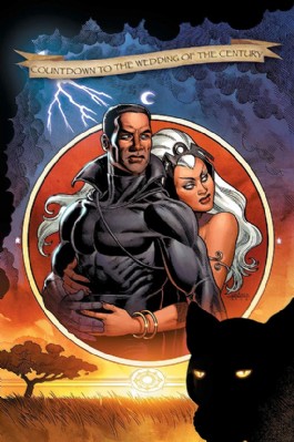 Black Panther (Series Four) #17