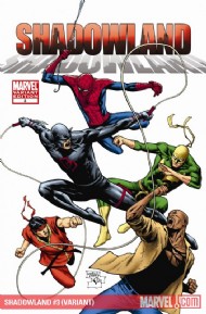 Shadowland 2010 #3