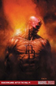 Shadowland:After the Fall 2010 #1