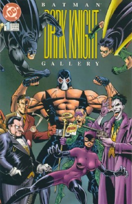 Batman: Dark Knight Gallery