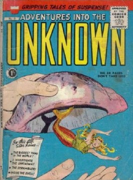 Adventures Into the Unknown #11