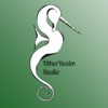 OtherRealm Studio